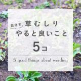 草むしりは誰がやる?自分でやるメリット5つご紹介