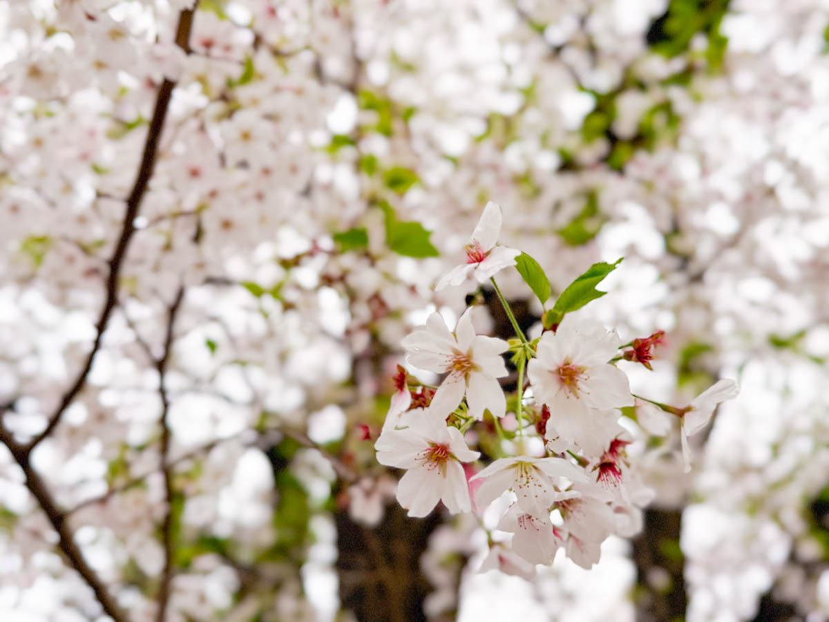 SNSゆる断ちしてよかったこと